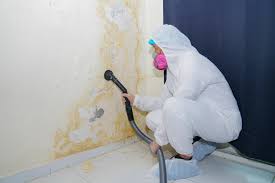 Biohazard Mold Removal in Hagerstown, IN